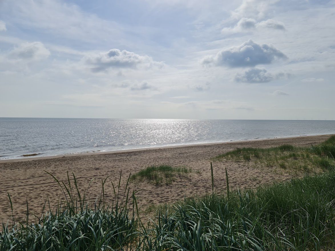 A sandy beach with scattered grassy patches in the foreground, calm sea water reflecting sunlight, and a partly cloudy sky overhead—read our Simply Skuba review to discover why this spot is a hidden gem.