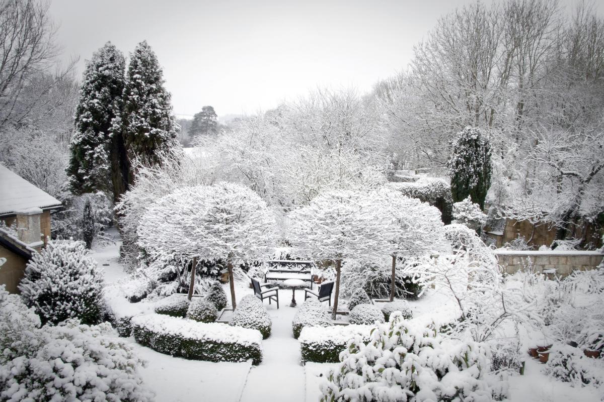 A garden covered in snow with trimmed bushes, trees, and outdoor furniture visible. Snow blankets the ground, branches, and rooftops, creating a white landscape—perfect for reflecting on winter gardening tips as the overcast sky sets a peaceful mood.